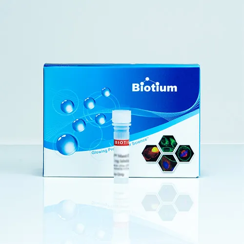 100 bp DNA Ladder, Ready-to-Load