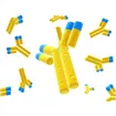 Anti Iba1, Rabbit (for Western Blotting)
