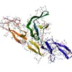 Lysyl Endopeptidase 