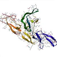 Lysyl Endopeptidase(R)