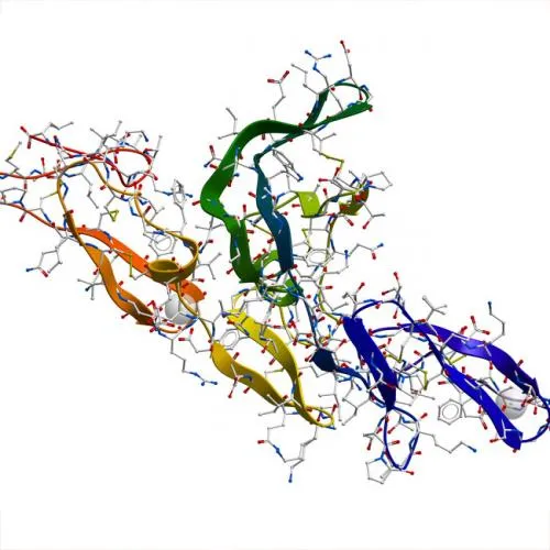 Lysyl Endopeptidase 