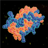 SuperSep(TM) Phos-tagTM (50µmol/l), 12.5%, 17well
