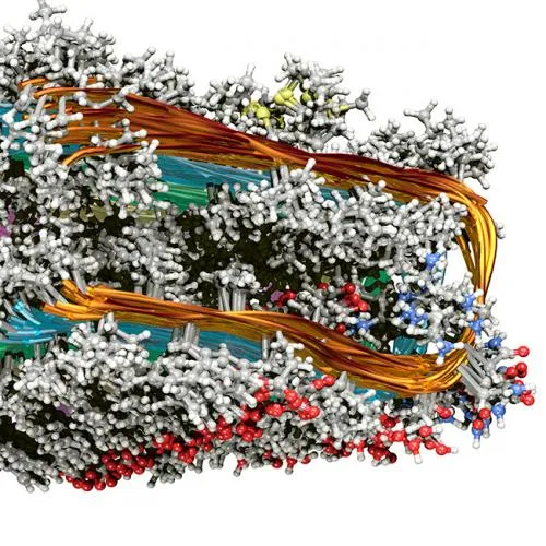 Human/Rat B Amyloid (40) ELISA Kit Wako