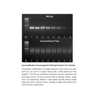 MyTaq DNA Polymerase 500 u