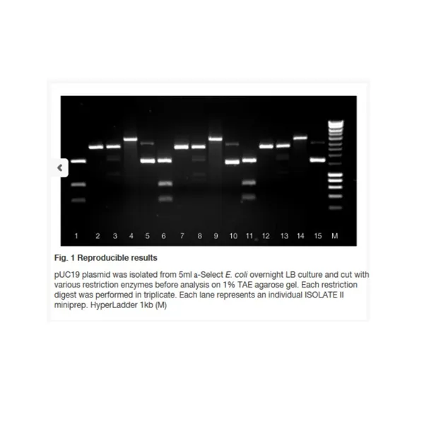 ISOLATE II Plasmid Mini Kit 