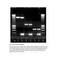 ISOLATE II PCR & Gel Kit