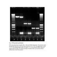 ISOLATE II PCR and Gel Kit 