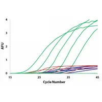 EvaGreenTM, 20X, trial size