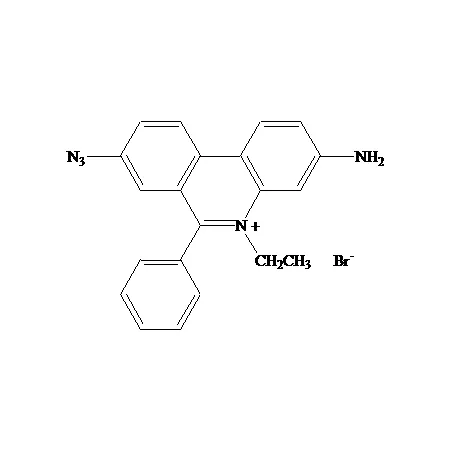 Ethidium monoazide, bromide (EMA)
