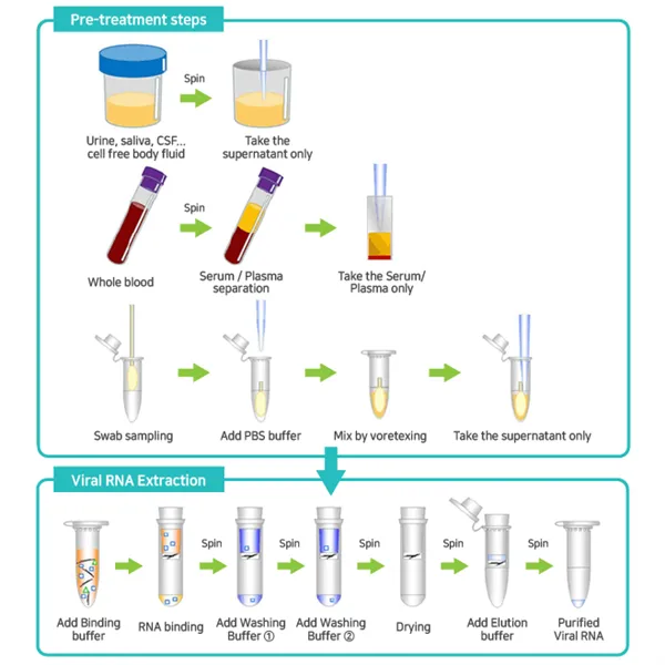 AccuPrep  Viral RNA Extraction Kit