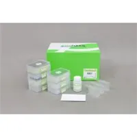 ExiPrep 96 Viral DNA/RNA Kit IVD