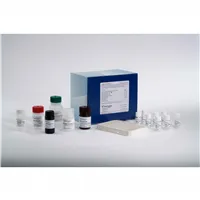 NGAL ELISA Kit (Human)