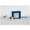 Pig NGAL ELISA Kit