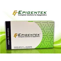 EpiQuik Total Histone Extraction HT Kit 