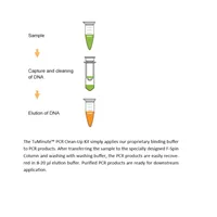 TuMinute PCR Clean-Up Kit 