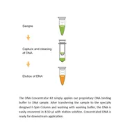 DNA Concentrator Kit