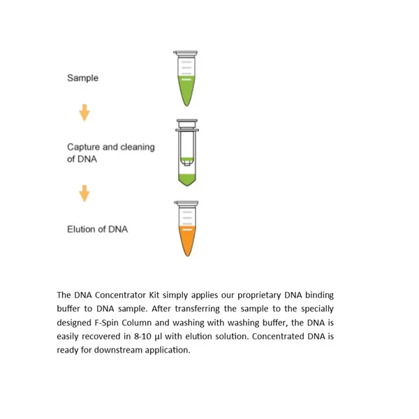 DNA Concentrator Kit 