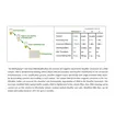 Methylamp one-Step DNA Modification Kit 