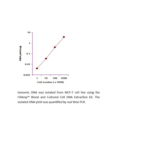 FitAmp Blood and Cultured Cell DNA Extraction Kit