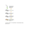 MethylFlash Hydroxymethylated DNA Quantification Kit (Fluorometric)