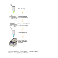 EpiQuik Hydroxymethylated DNA Immunoprecipitation