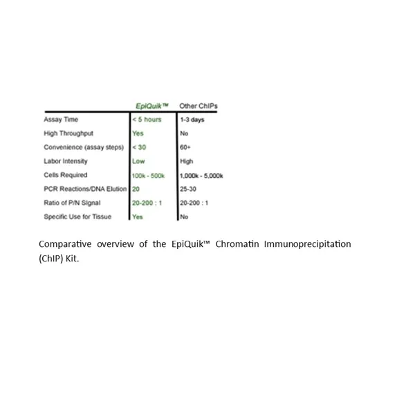 EpiQuik Chromatin Immunoprecipitation (ChIP) Kit 