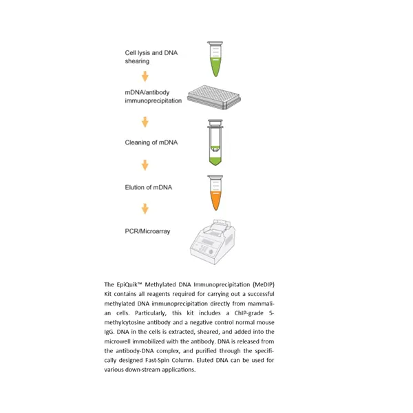 EpiQuik Tissue Methylated DNA Immunoprecipitation Kit