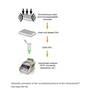 ChromaFlash one-Step ChIP Kit (96 reactions)