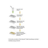 EpiQuik DNA Demethylase Activity/Inhibition Assay Ultra Kit