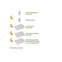 EpiQuik Total Histone H3 Acetylation Detection Fast Kit (Fluorometric)