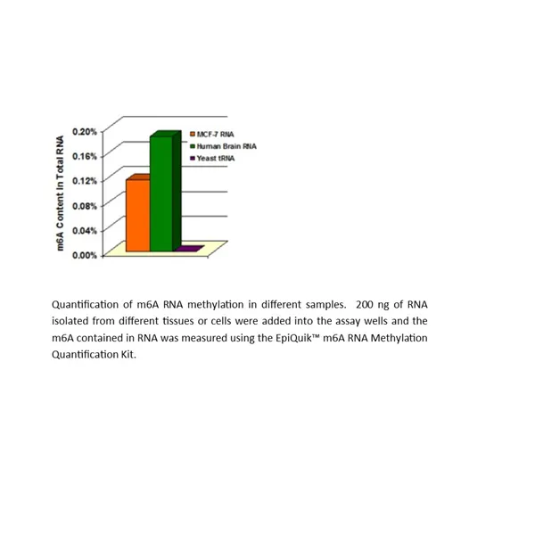 EpiQuik m6A RNA Methylation Quantification Kit (Colorimetric) (48 reactions) 