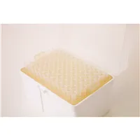 DeNovix špičky na el. pipetu Squid , 200uL, sterilní 