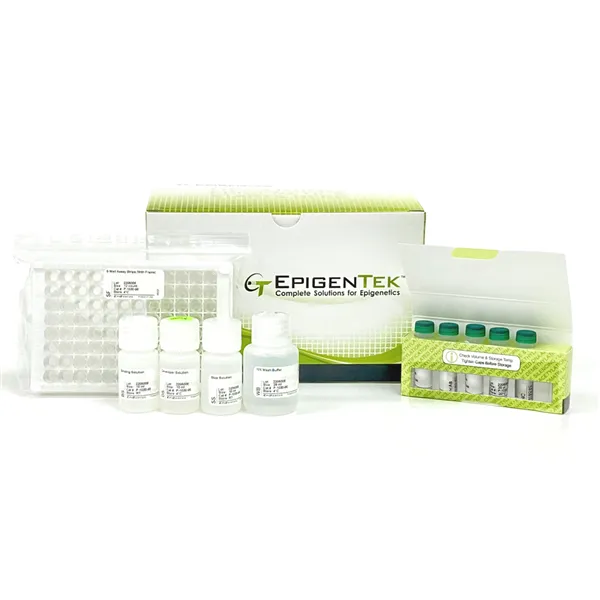 MethylFlash Global DNA Methylation (5-mC) ELISA Easy Kit (Colorimetric) - 48 reactions