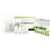 MethylFlash Global DNA Hydroxymethylation (5-hmC) ELISA Easy Kit (Colorimetric) - 96 reactions