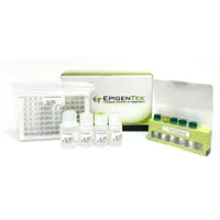 MethylFlash Global DNA Hydroxymethylation (5-hmC) ELISA Easy Kit (Colorimetric) - 48 reactions