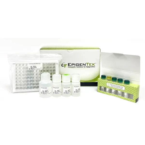 MethylFlash Global DNA Hydroxymethylation (5-hmC) ELISA Easy Kit (Colorimetric) - 96 reactions